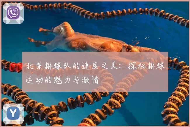 北京排球队的速度之美：探秘排球运动的魅力与激情