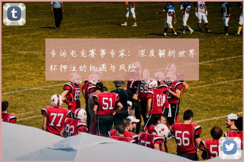 专访电竞赛事专家：深度解析世界杯押注的机遇与风险