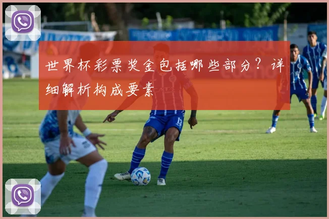 世界杯彩票奖金包括哪些部分？详细解析构成要素