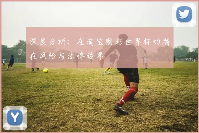 深度分析:在淘宝购彩世界杯的潜在风险与法律边界