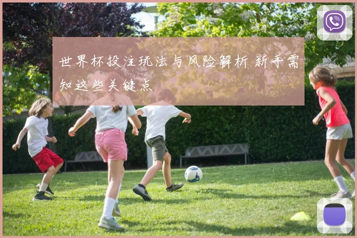 世界杯投注玩法与风险解析 新手需知这些关键点
