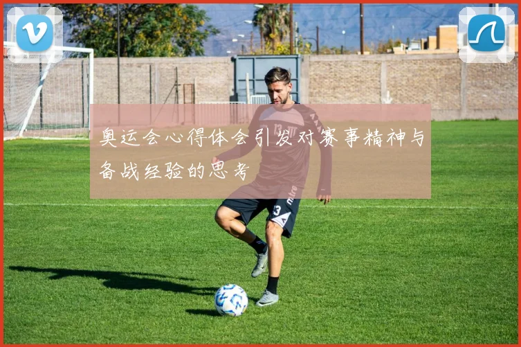 奥运会心得体会引发对赛事精神与备战经验的思考