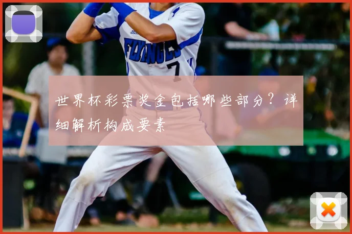 世界杯彩票奖金包括哪些部分?详细解析构成要素