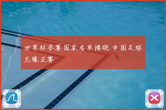 世界杯参赛国家名单揭晓 中国足球无缘正赛