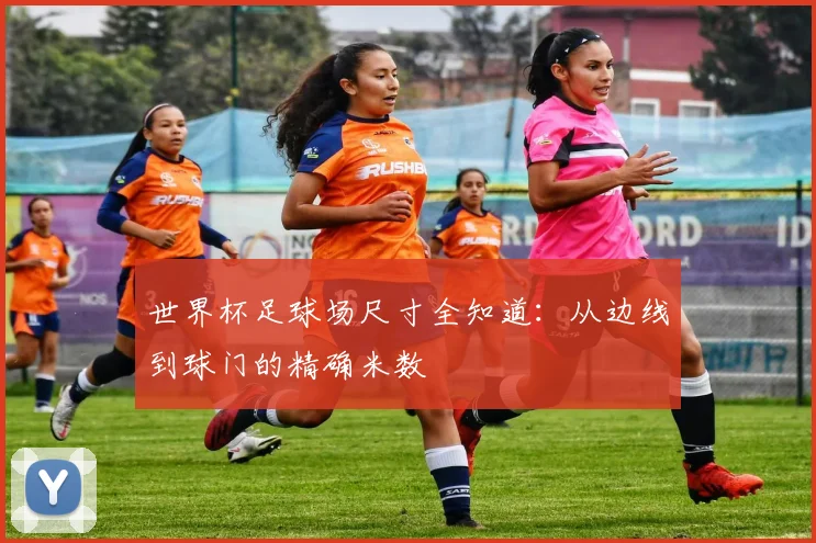 世界杯足球场尺寸全知道:从边线到球门的精确米数