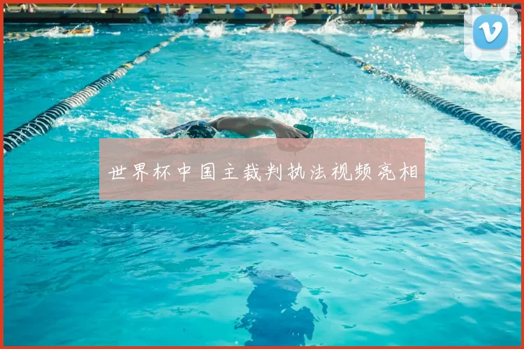 世界杯中国主裁判执法视频亮相