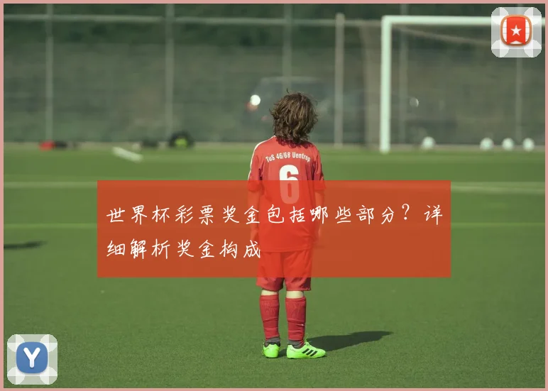 世界杯彩票奖金包括哪些部分？详细解析奖金构成
