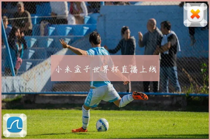 小米盒子世界杯直播上线
