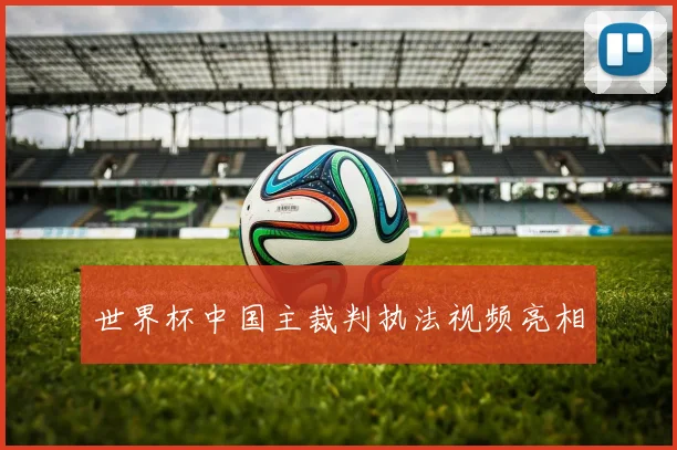 世界杯中国主裁判执法视频亮相