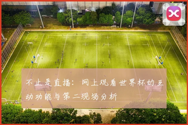 不止是直播：网上观看世界杯的互动功能与第二现场分析