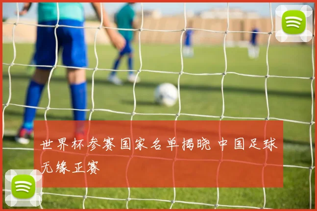 世界杯参赛国家名单揭晓 中国足球无缘正赛