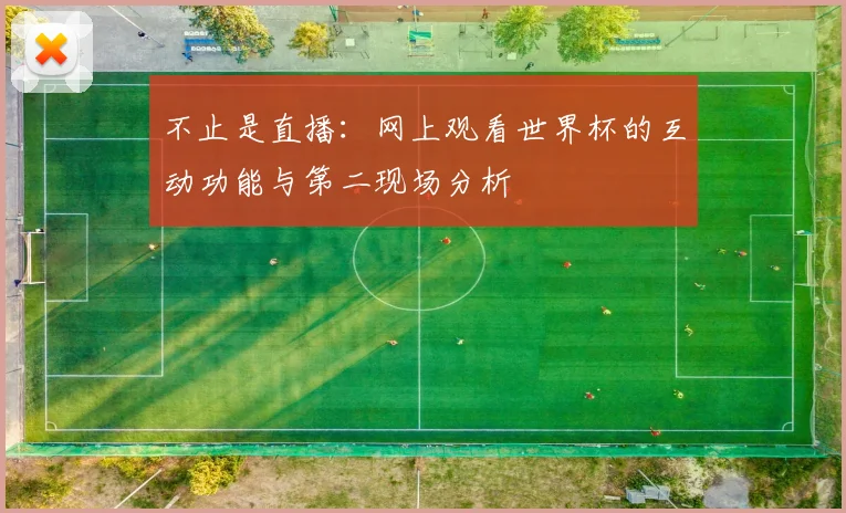 不止是直播：网上观看世界杯的互动功能与第二现场分析